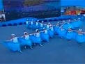 格格广场舞