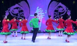 杨艺艺子军星月广场舞《草原风吹过》