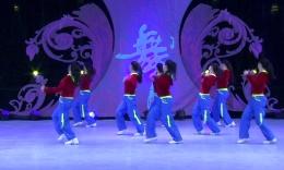 杨艺艺子军星月广场舞《大时代》背身