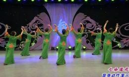 杨艺艺子龙格格广场舞 七朵莲花 背面演示