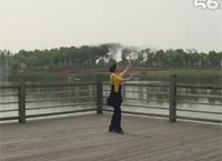 応子广场舞Pal Pal Har Pal