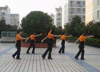応子广场舞兰花草