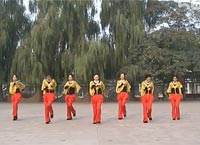 応子广场舞草原的姑娘嫁我吧