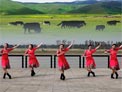 応子广场舞吉祥镇巴