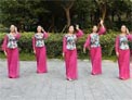 応子广场舞自由行走的花