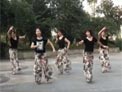 周思萍广场舞芦花美