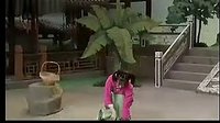 黄梅戏全剧 《打猪草》 吴琼