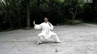 陈氏太极拳老架一路74式陈正雷演示附音乐口