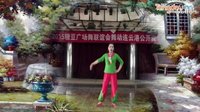 刘荣广场舞《美丽新天地》附正反面教学 背面演示下载