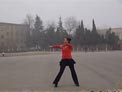 舞动旋律2007广场舞戒了爱情戒了你