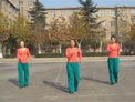 舞动旋律2007广场舞元芳你怎么看