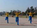 舞动旋律2007广场舞To Be Number One