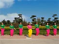 舞动旋律2007广场舞爱着你宠着你