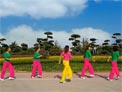 舞动旋律2007广场舞Timber