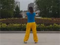 舞动旋律2007广场舞爱上了你等于爱上了错