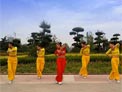 舞动旋律2007广场舞再唱山歌给党听