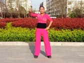 舞动旋律2007广场舞我想静静