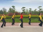 舞动旋律2007广场舞格桑花儿开