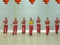 舞动旋律2007广场舞larnioal da ldark