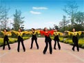 舞动旋律2007广场舞斯卡布罗集市