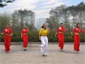 舞动旋律2007广场舞我的新娘