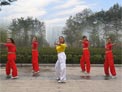 舞动旋律2007广场舞路灯下的小姑娘