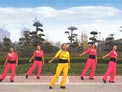 舞动旋律2007广场舞穿越 阿宝王二妮