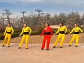 舞动旋律2007广场舞DAY BY DAY
