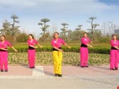 舞动旋律2007广场舞大街小巷都听我的歌