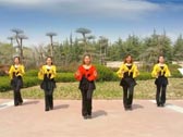 舞动旋律2007广场舞手心里的温柔