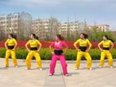 舞动旋律2007广场舞求求你给点力