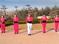 舞动旋律2007广场舞Sha La Long