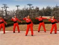舞动旋律2007广场舞羊羊得意