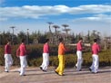 舞动旋律2007广场舞Bang Bang