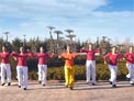 舞动旋律2007广场舞你Techno Version