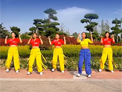 舞动旋律2007广场舞康电情歌