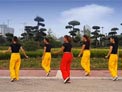 舞动旋律2007广场舞fire