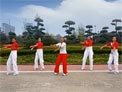 舞动旋律2007广场舞好乐day