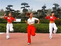 舞动旋律2007广场舞两个人