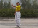 舞动旋律2007广场舞娜奴娃情歌
