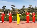 舞动旋律2007广场舞燃烧吧蔬菜