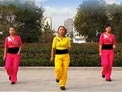舞动旋律2007广场舞让爱领舞