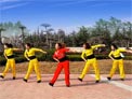 舞动旋律2007广场舞Beat it
