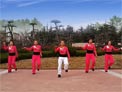 舞动旋律2007广场舞鸭梨大