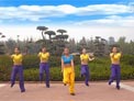 舞动旋律2007广场舞电话情缘