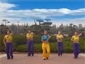 舞动旋律2007广场舞纯情