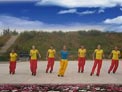 舞动旋律2007广场舞我的祖国