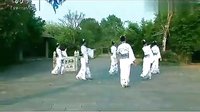 2015年排舞推广中心 最新排舞《 桃花源》及