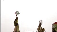 陕西皮影戏《谢瑶环》又名《万福莲》全本 