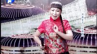 河南坠子《拉荆笆》演唱 胡中花_超清